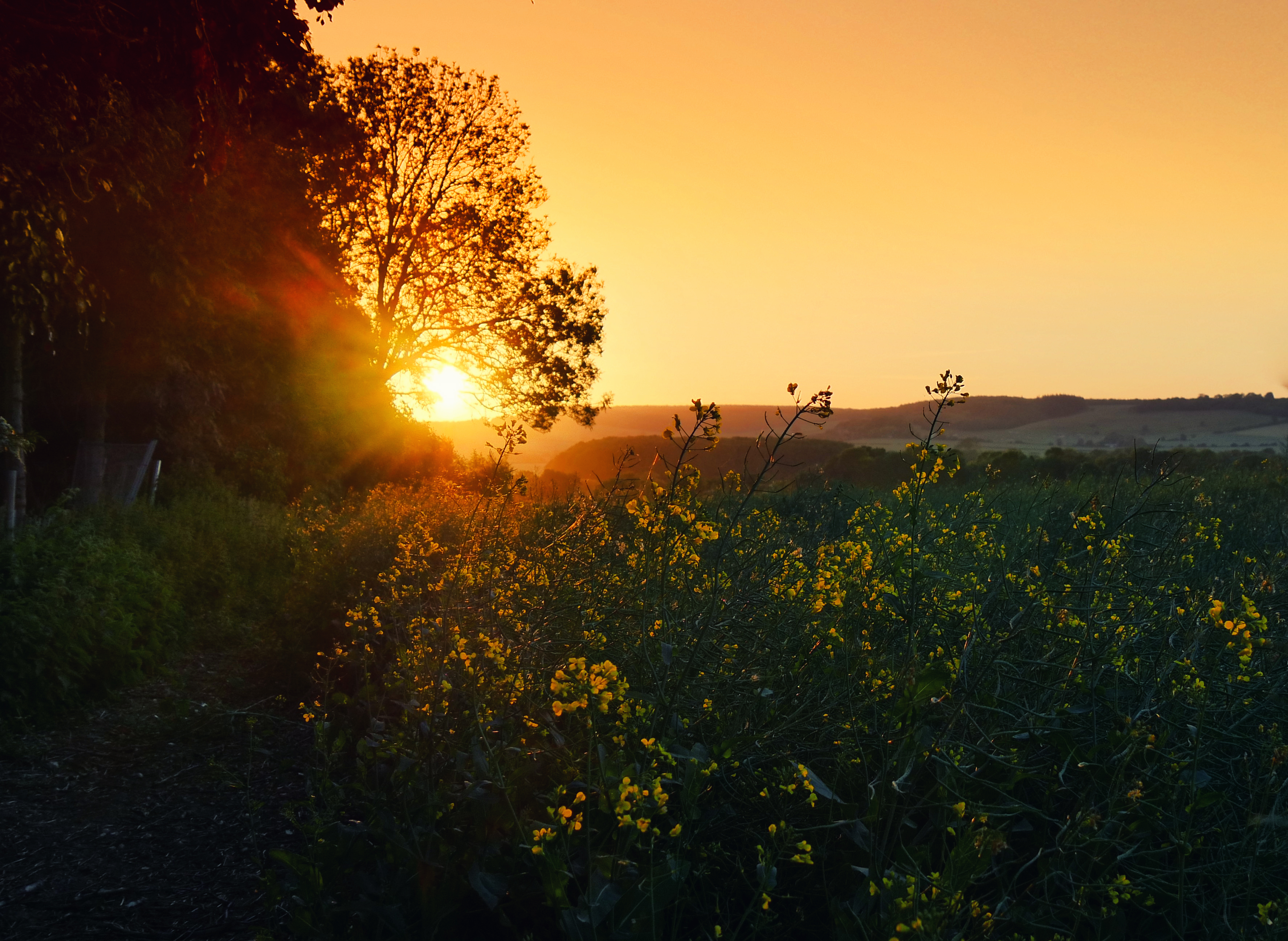 High Flying Productions